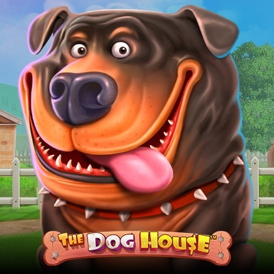 The Doggy Eye